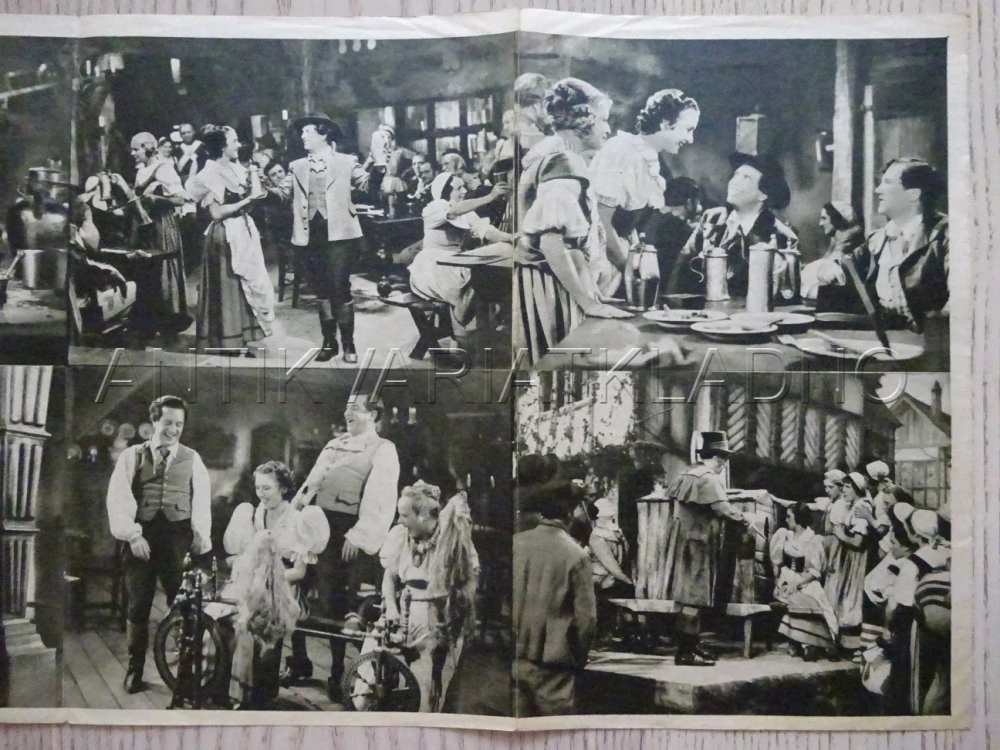 POSLEDNÍ RŮŽE, H. ROSWAENGE, BIO PROGRAM Č. 383, 1936