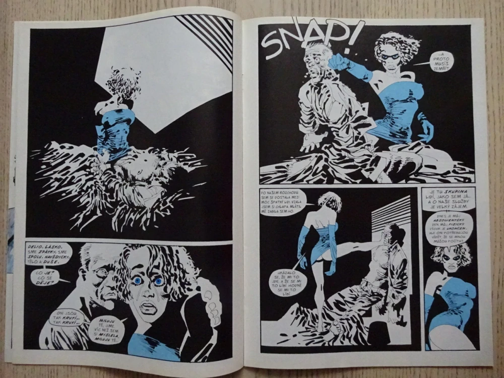 ČASOPIS COMICS, 8/2001