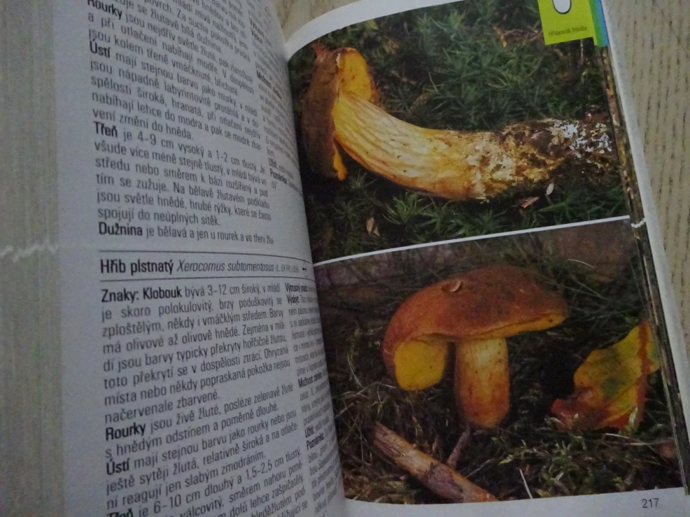 HOUBY, PRŮVODCE PŘÍRODOU, **an