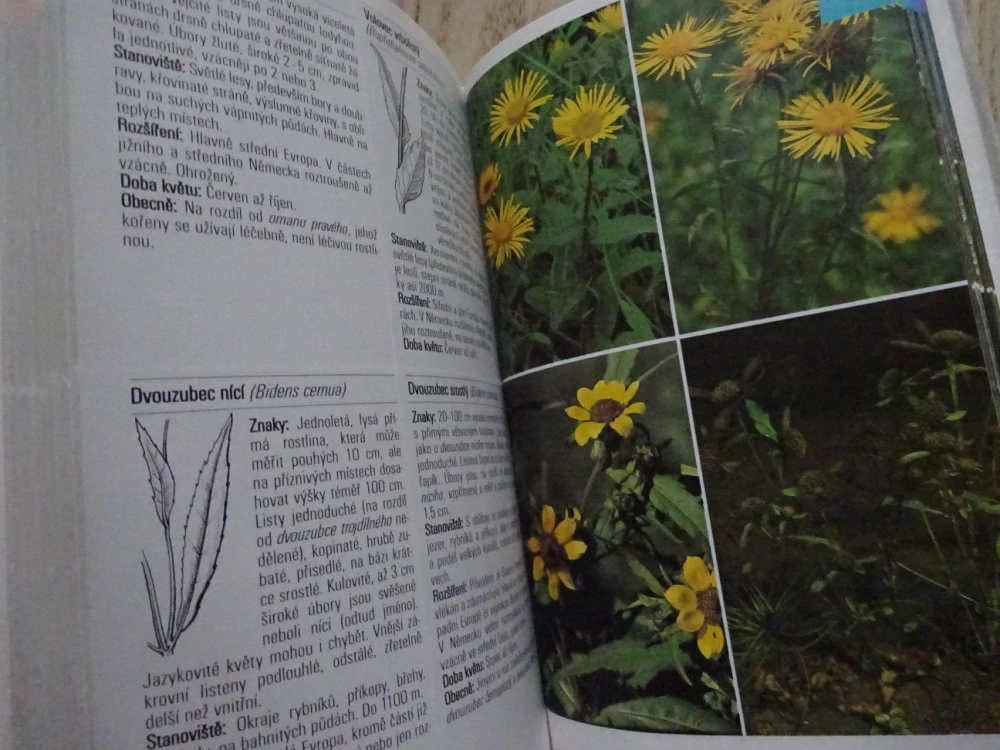 PLANÉ ROSTLINY STŘEDNÍ EVROPY, PRŮVODCE PŘÍRODOU, **an