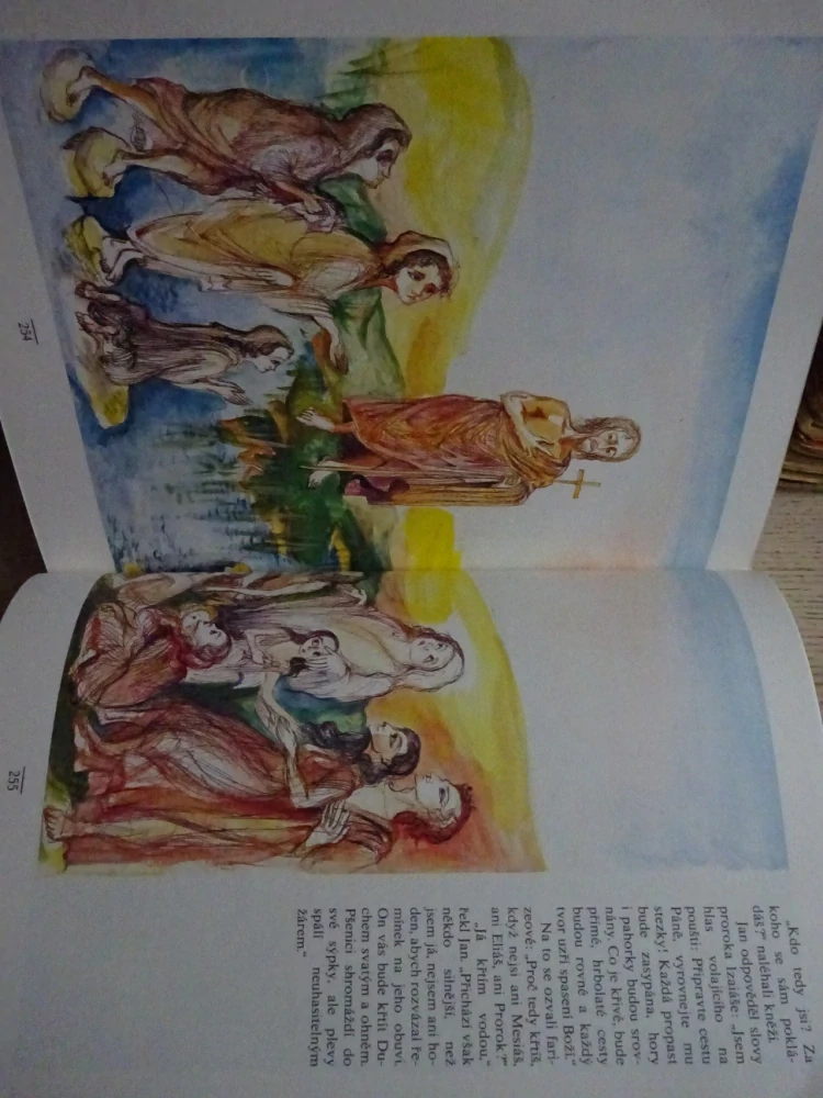 DĚTSKÁ BIBLE, **an