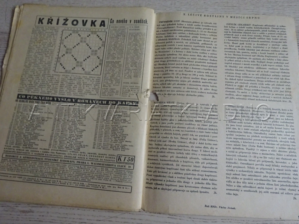 RODOKAPS Č. 269, VI. ROČNÍK, NA SEVER OD ŠEDESÁTÉ ROVNOBĚŽKY