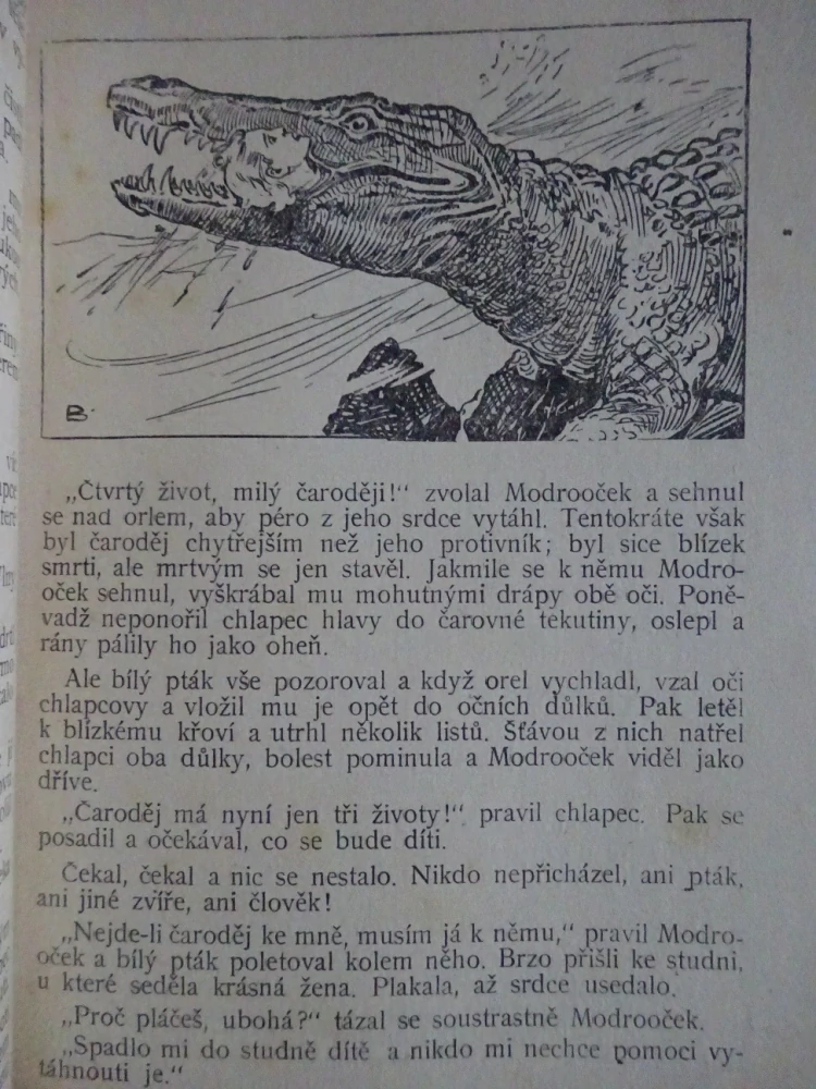 UNDINA A OBR A JINÉ, POHÁDKY Z CELÉHO SVĚTA SV. 23 (MNOHÉ FANTASY)
