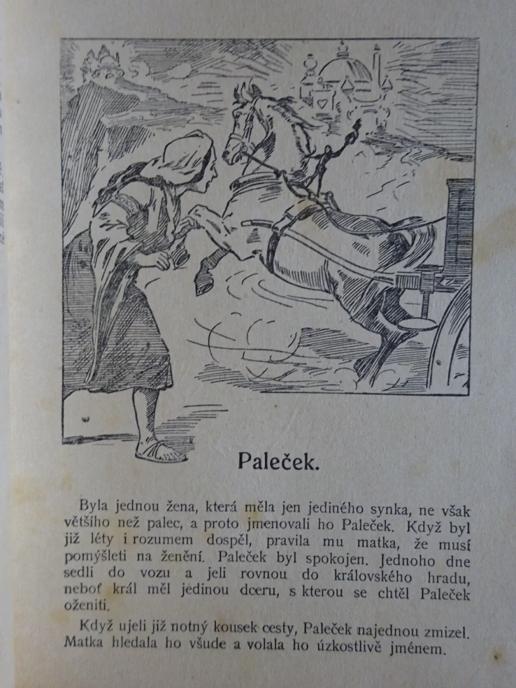 NEOHROŽENÝ MIKEŠ A JINÉ, POHÁDKY Z CELÉHO SVĚTA SV. 29 (MNOHÉ FANTASY)