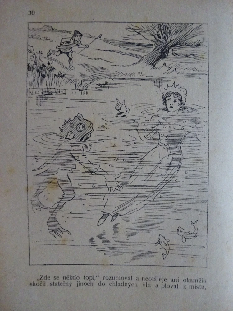 SVĚTSKÁ KRÁSA A JINÉ, POHÁDKY Z CELÉHO SVĚTA SV. 30 (MNOHÉ FANTASY)