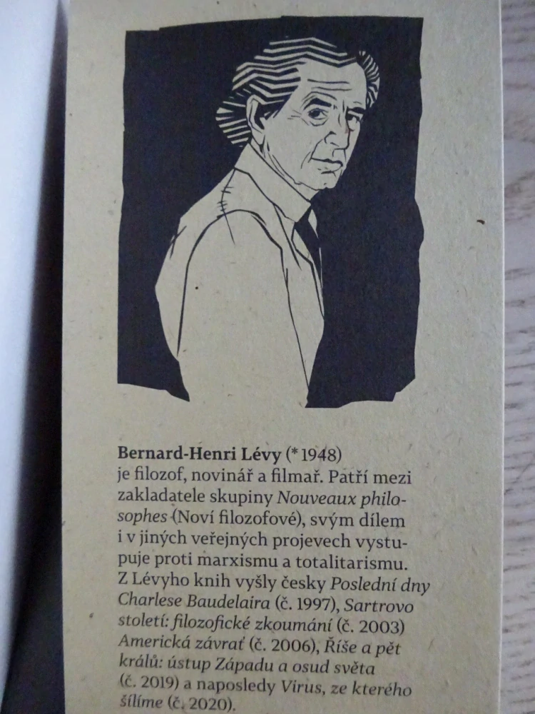 VEŘEJNÍ NEPŘÁTELÉ, MICHEL HOUELLEBECQ, BERNARD-HENRI LÉVY, **an