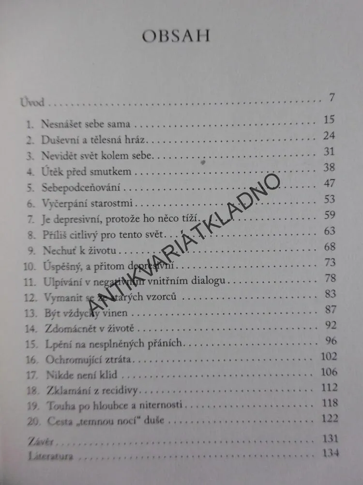 DEPRESE JAKO ŠANCE, SPIRITUÁLNÍ IMPULZY, ANSELM GRÜN