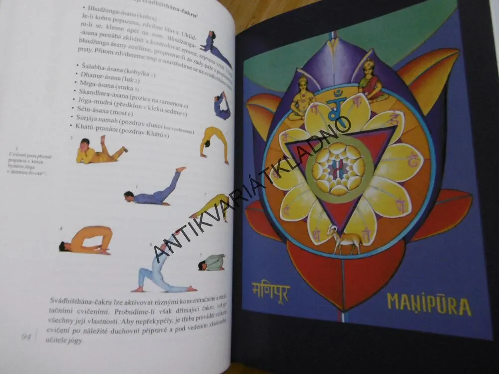 SKRYTÉ SÍLY V ČLOVĚKU, ČAKRY A KUNDALINI, 