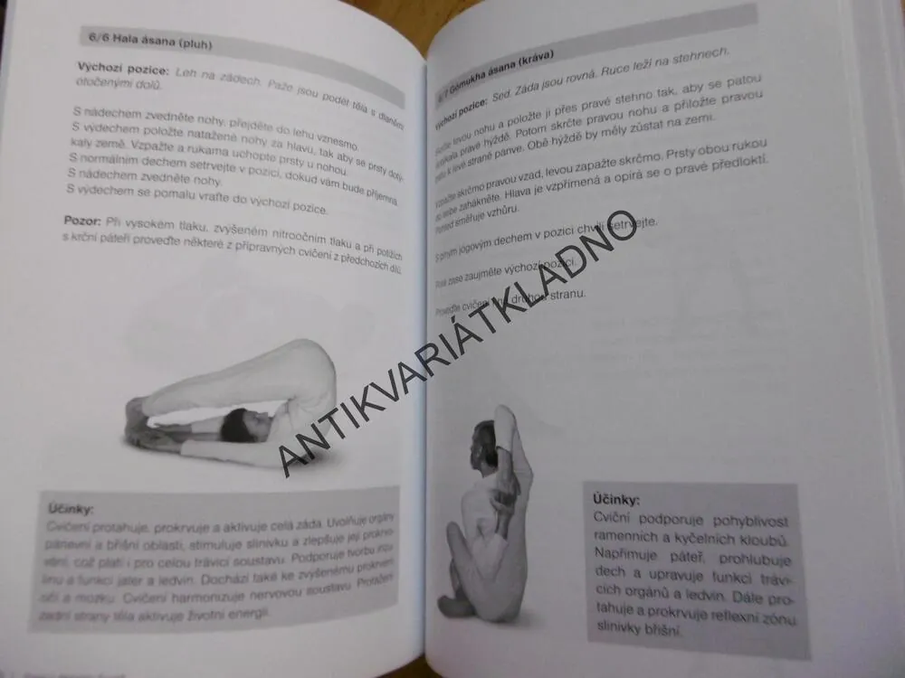 JÓGA V DENNÍM ŽIVOTĚ A DIABETES, CVIČENÍ NA PODPORU LÉČBY DIABETU