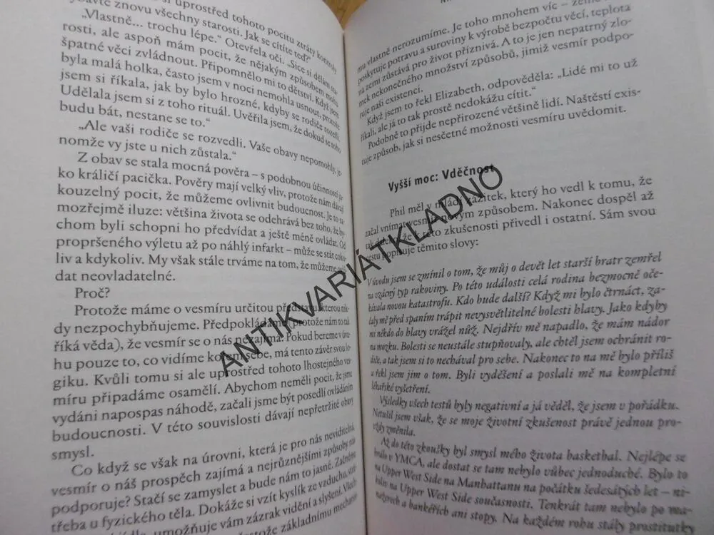NÁSTROJE, NAUČTE SE ZÚROČIT SKRYTÉ SCHOPNOSTI A PŘEKONAT HANDICAPY, STUTZ, MICHELS