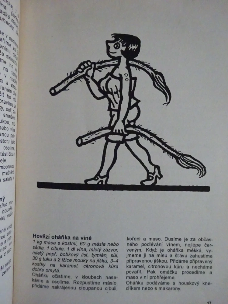 KUCHAŘKA NEJEN NA NEDĚLI, MASO POKAŽDÉ JINAK, **an