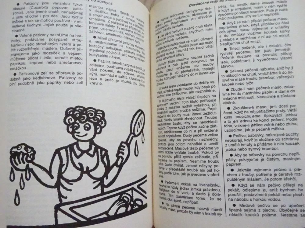 KUCHAŘKA NEJEN NA NEDĚLI, OSVĚDČENÉ RADY DO KUCHYNĚ, **an