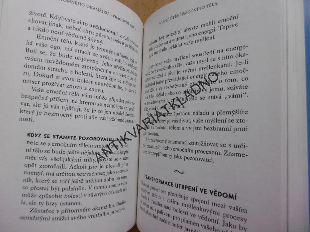 MOC PŘÍTOMNÉHO OKAMŽIKU, PRACOVNÍ KNIHA, ECKHART TOLLE, **an