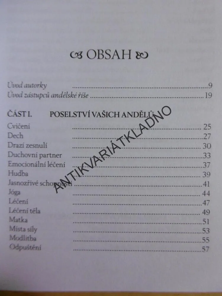 POSLOVÉ SVĚTLA, DOREEN VIRTUE