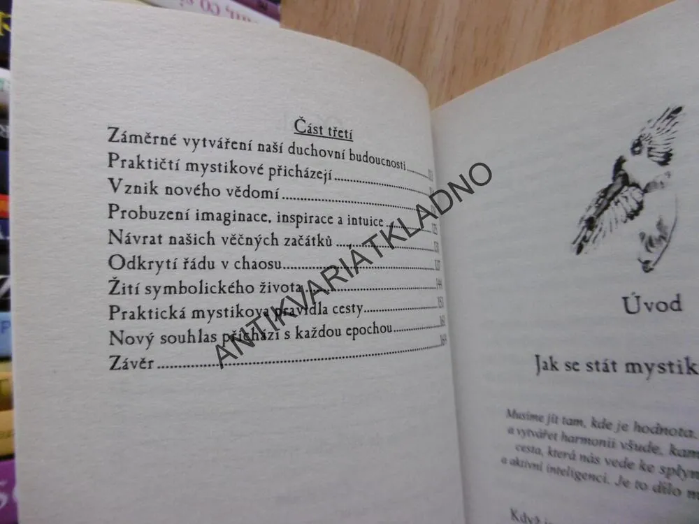 JAK SE STÁT MYSTIKEM V PRAXI, J. SMALL
