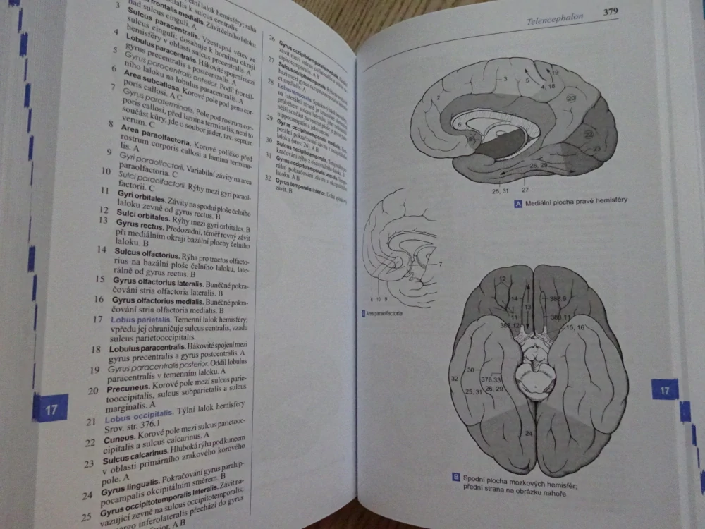 FENEISŮV OBRAZOVÝ SLOVNÍK ANATOMIE, WOLFGANG DAUBER, **an