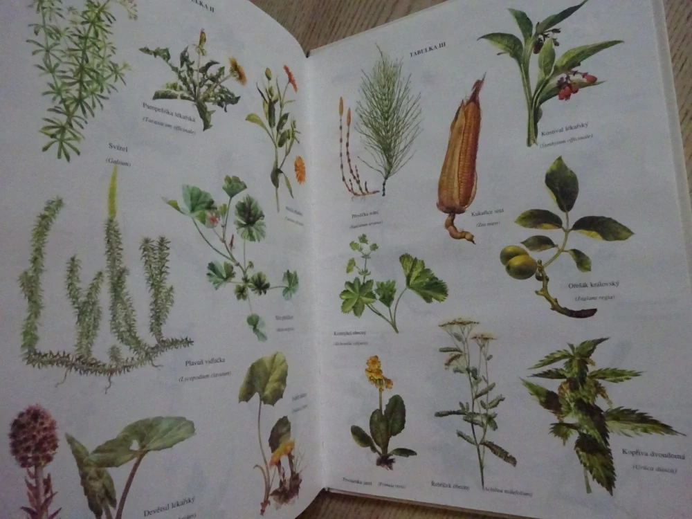 ZDRAVÍ Z BOŽÍ LÉKÁRNY, MARIA TREBEN, **an