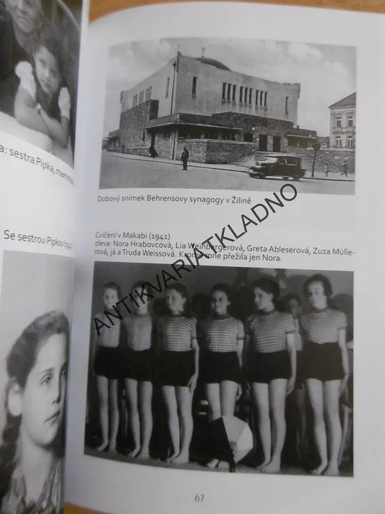 MOJE DLOUHÉ MLČENÍ, ŽIVOT A HOLOCAUST, ERIKA BEZDÍČKOVÁ