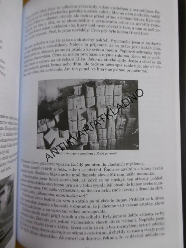 NEMÁM ŽÁDNÉ JMÉNO, DAGMAR HILAROVÁ, TEREZÍN