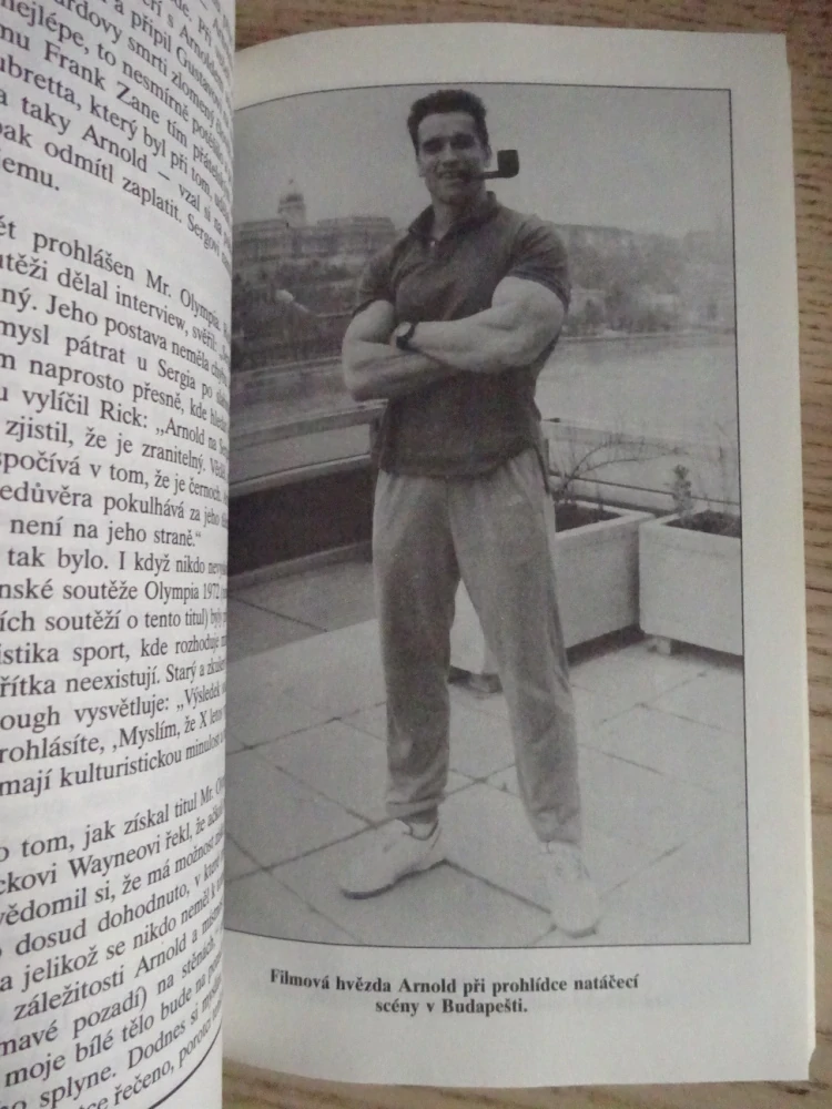 NESCHVÁLENÝ ŽIVOTOPIS, ARNOLD SCHWARZENEGGER, WENDY LEIGHOVÁ, **an