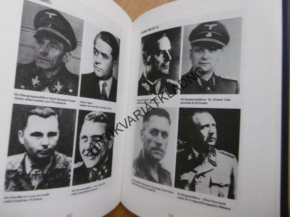 TAJEMNÉ PODZEMÍ, TAJEMSTVÍ ŠTĚCHOVICKÉHO POKLADU, JIŘÍ TOMIS, **an