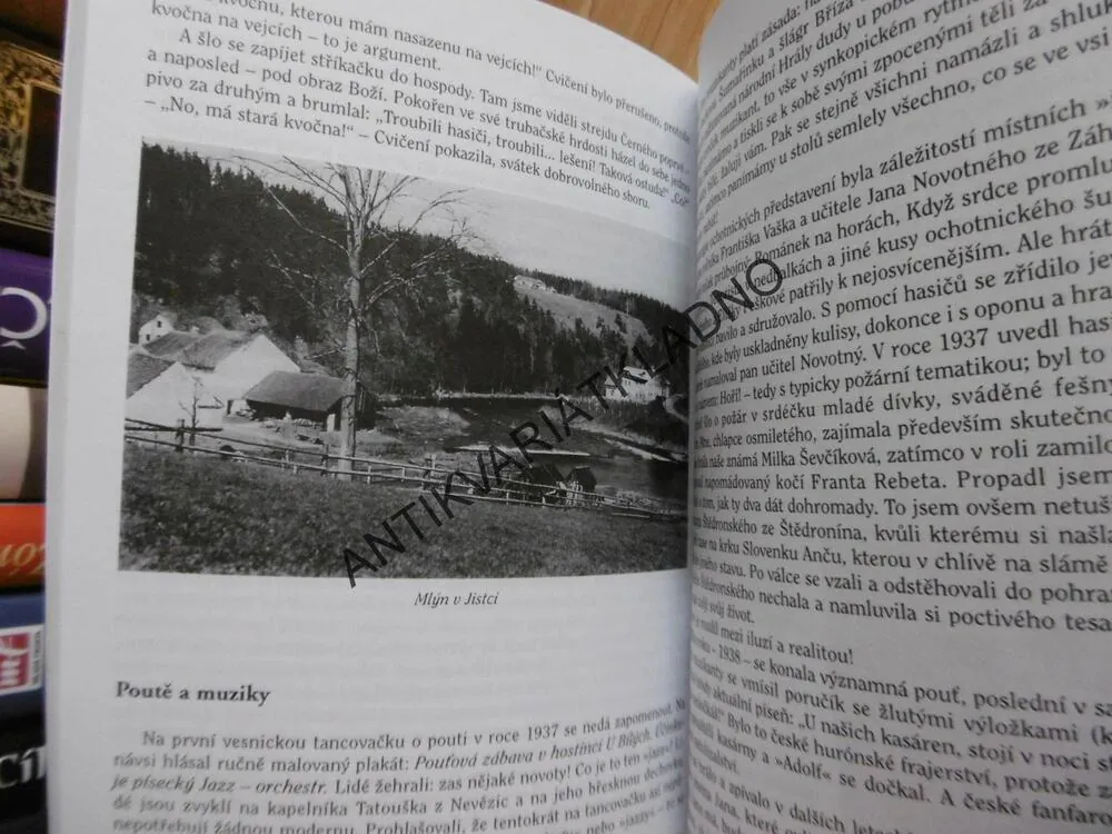 ZVÍKOVSKÉ ELEGIE, RADKO PYTLÍK, 