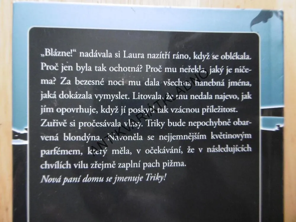 DŮM S MINULOSTÍ, SANDRA BROWN
