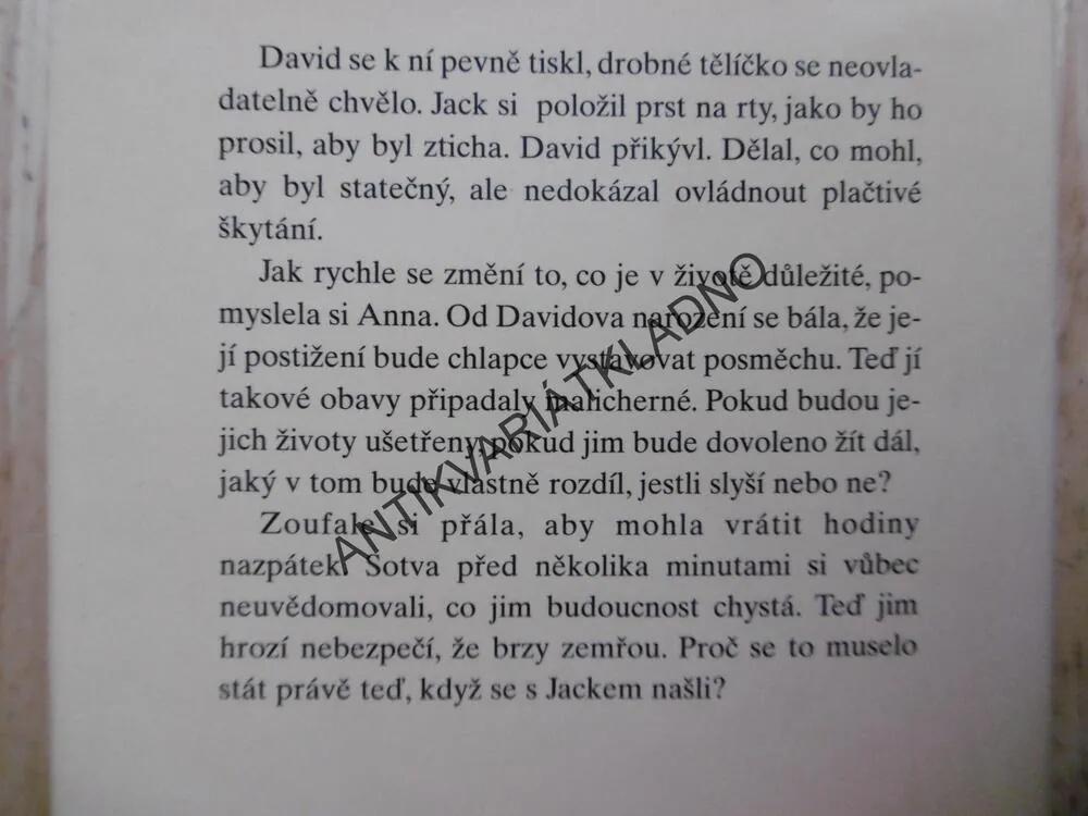 SILNĚJŠÍ NEŽ SLOVA, SANDRA BROWN