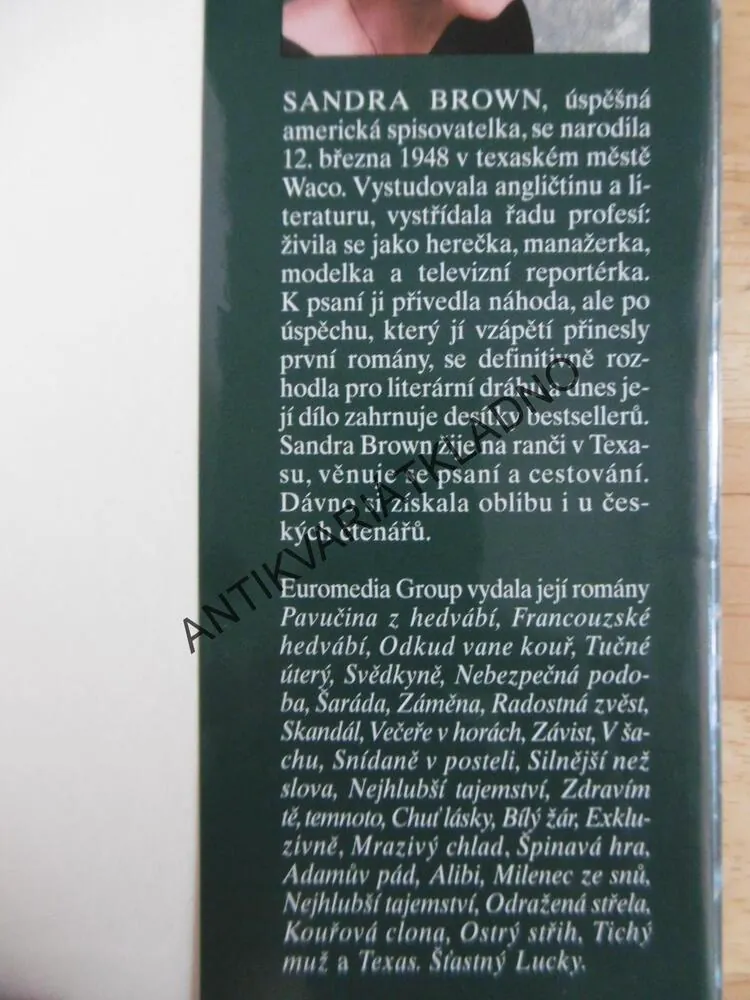 TEXAS, ODHODLANÝ CHASE, SANDRA BROWN, **an