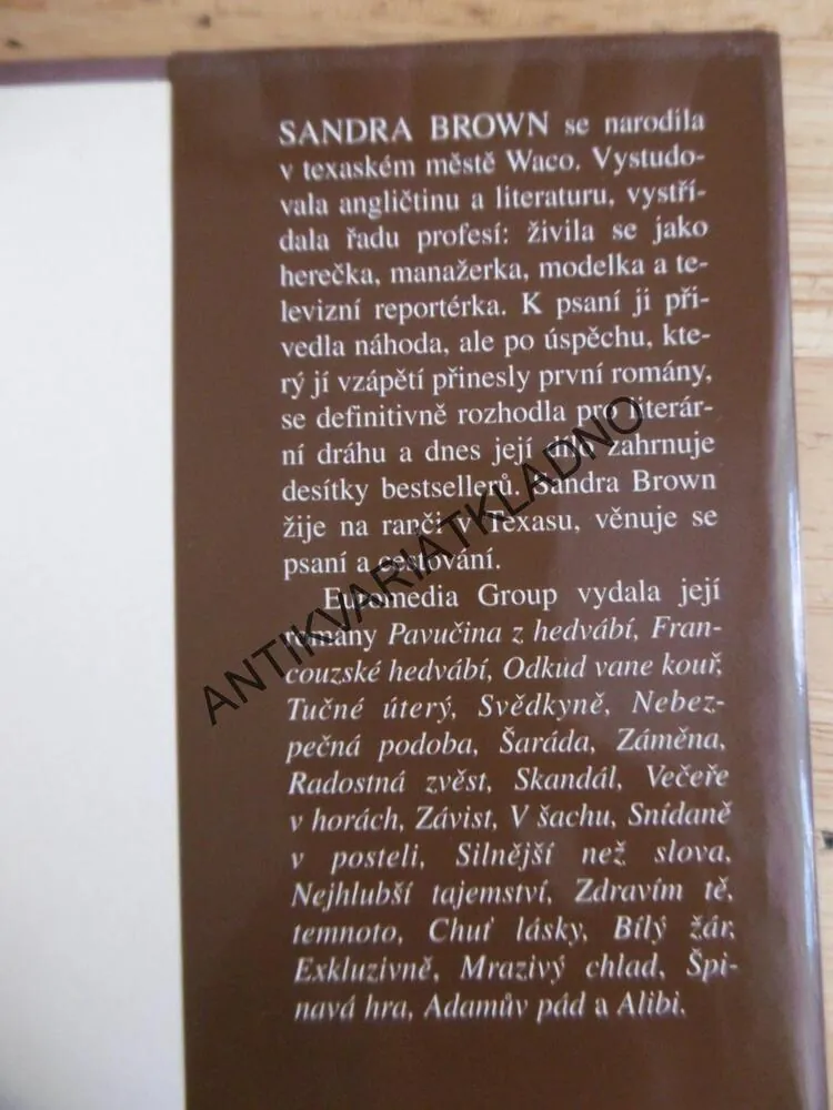 DŮM S MINULOSTÍ, SANDRA BROWN, **an
