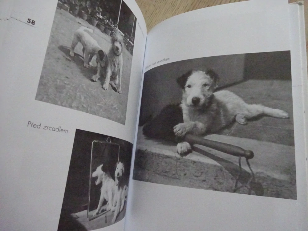 DÁŠENKA, ČILI ŽIVOT ŠTĚNĚTE, KAREL ČAPEK, 2009, **an