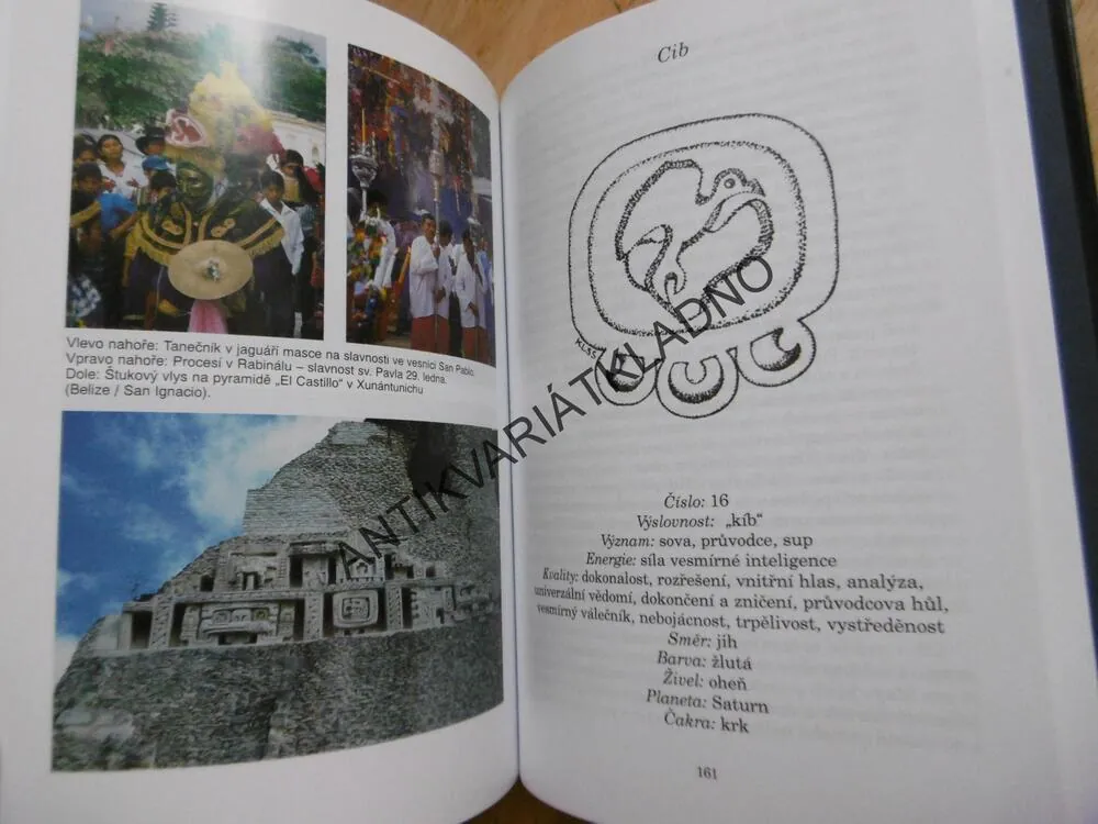 PROROCTVÍ MAYŮ, MAGDA WIMMER, **an