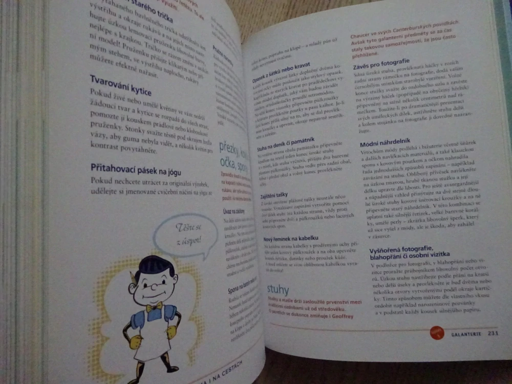 CHYTŘE A LEVNĚ DOMA I NA CESTÁCH, **an