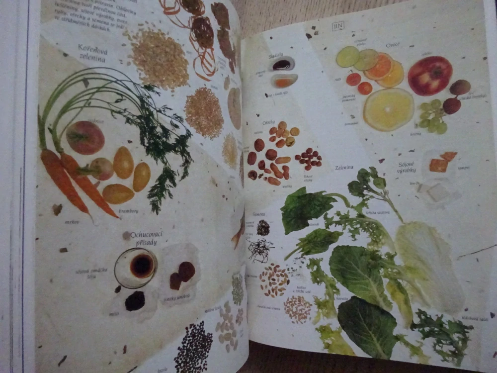 RODINNÁ ENCYKLOPEDIE ALTERNATIVNÍ MEDICÍNY, **an