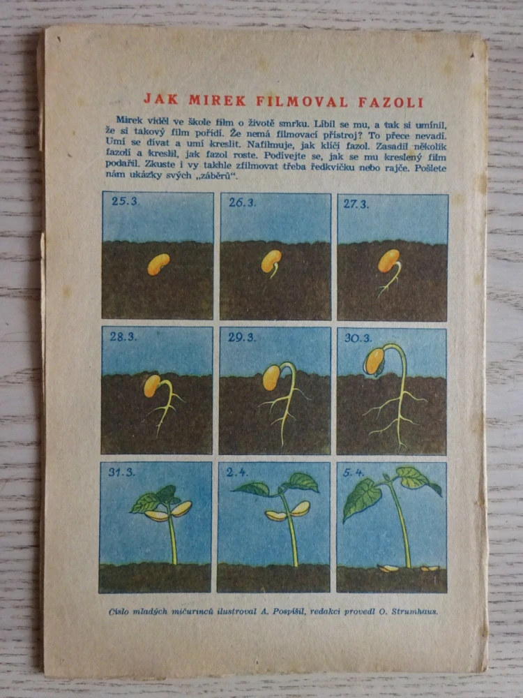 OHNÍČEK Č. 16/1951, KOMIKS, NEPRAKTA, SEKORA, BURIAN