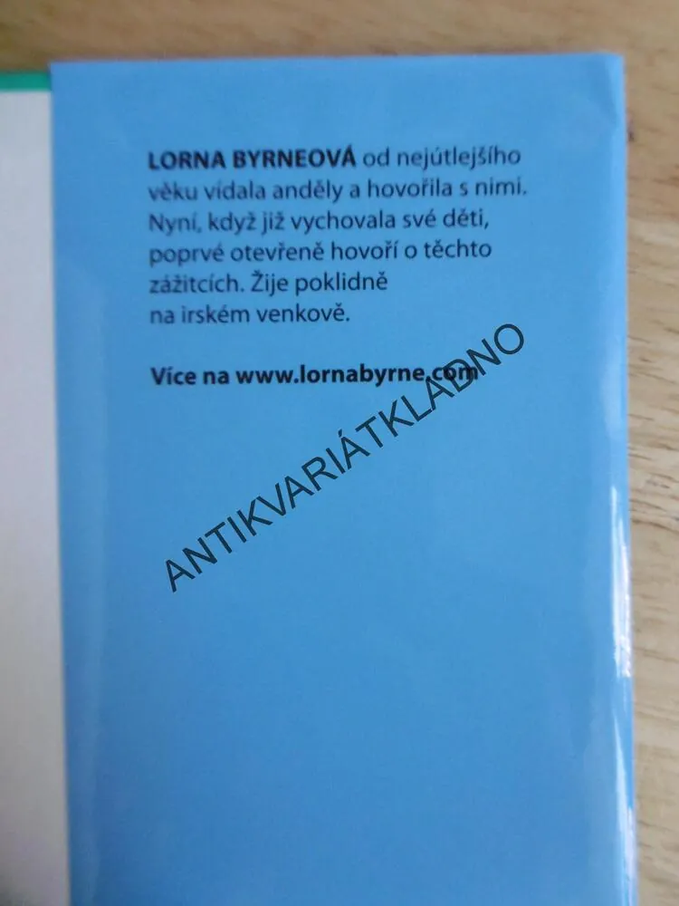 ANDĚLÉ V MÝCH VLASECH, LORNA BYRNEOVÁ, **an 