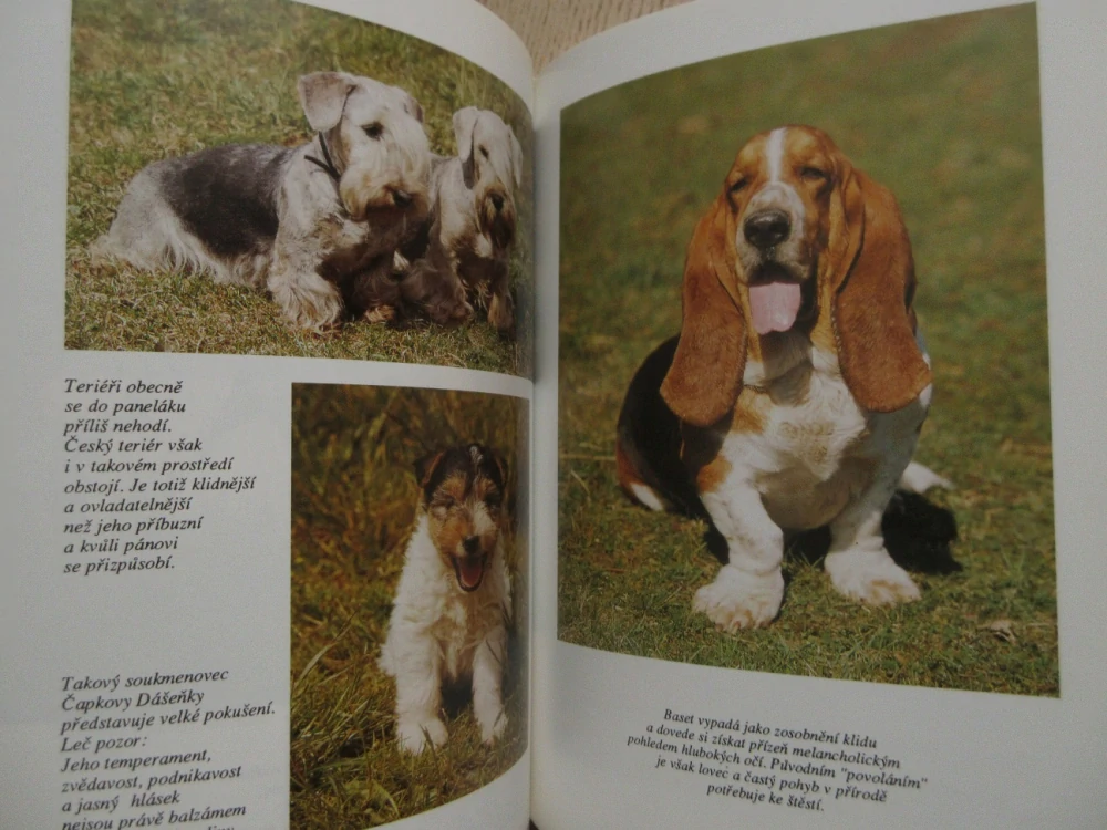 PEJSEK DO PANELÁKU, HELENA KHOLOVÁ, **an