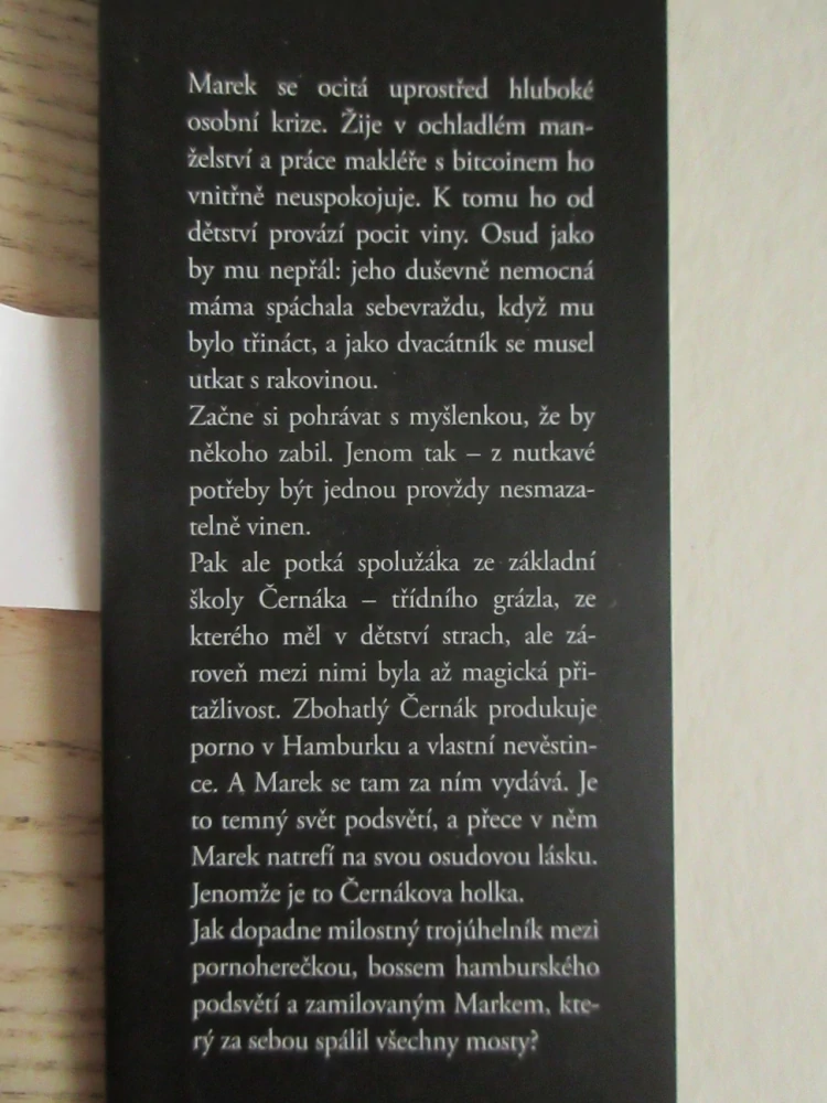 POSLEDNÍ STANICE HAMBURK, MARTIN VOPĚNKA, **an