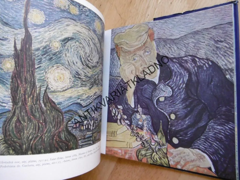 MALÁ GALERIE- VINCENT VAN GOGH, **an**an
