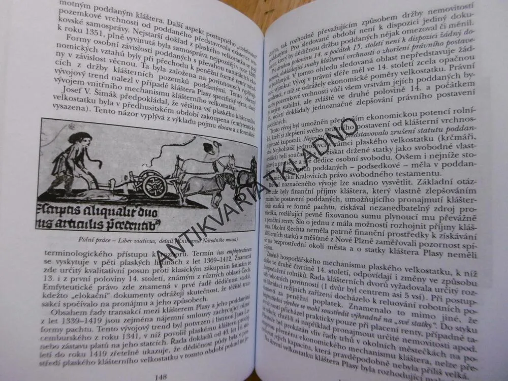 ČESKÉ ZEMĚ V LETECH 1310-1378, LUCEMBURKOVÉ NA ČESKÉM TRŮNĚ 1.