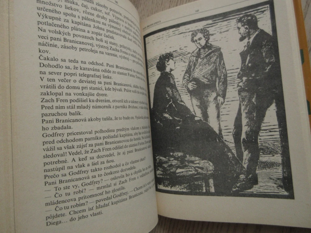 PANI BRANICANOVÁ, JULES VERNE, **an
