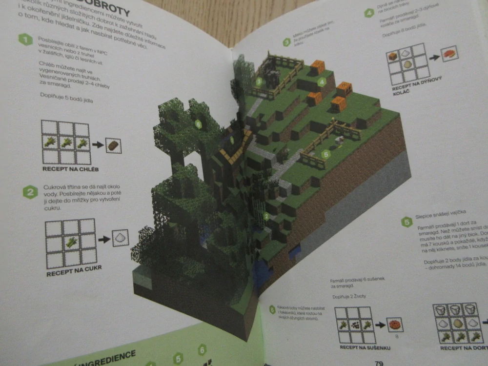 MINECRAFT: PRŮVODCE SVĚTEM PRŮZKUMNÍKA, MOJANG, **an