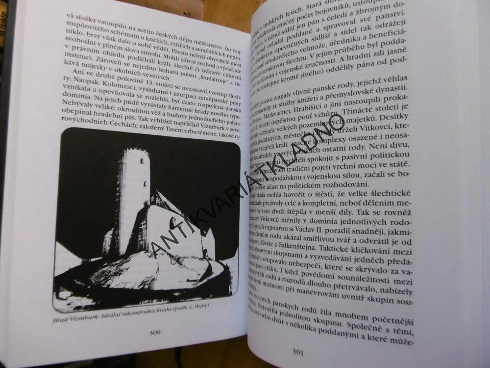 STOLETÍ POSLEDNÍCH PŘEMYSLOVCŮ, JOSEF ŽEMLIČKA, **an