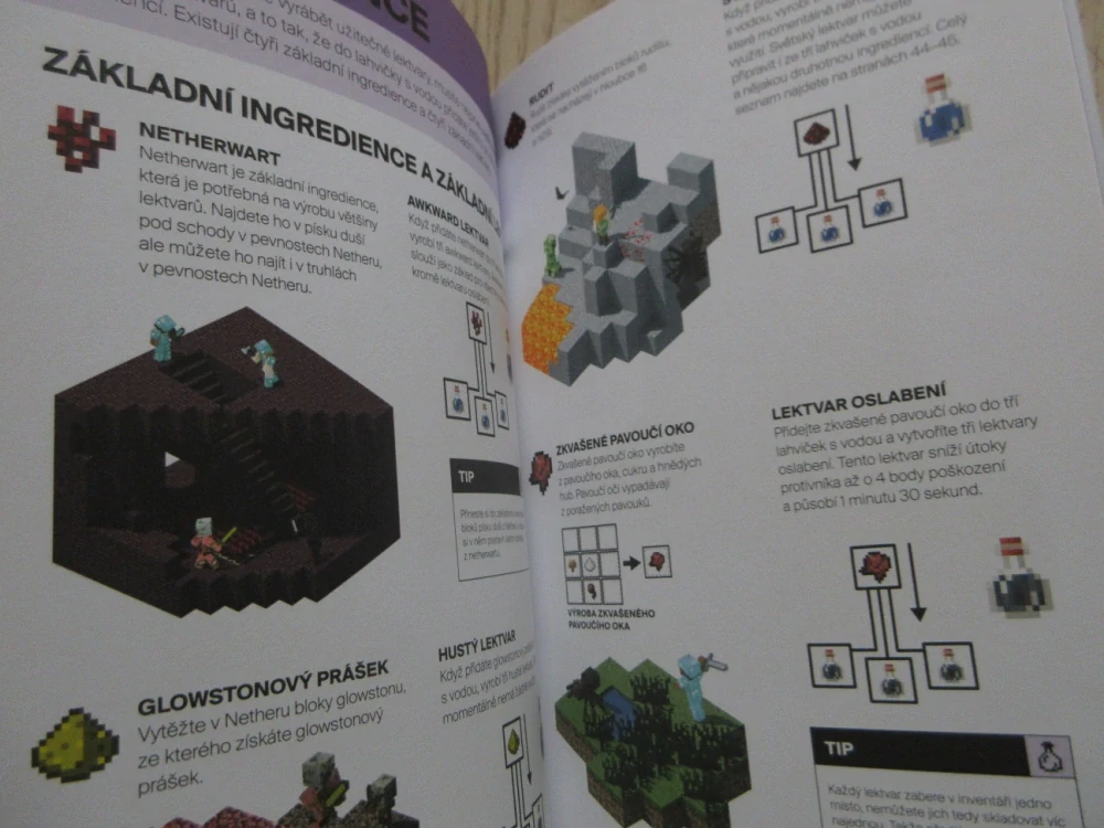 MINECRAFT: PRŮVODCE SVĚTEM LEKVARŮ A ČAROVÁNÍ, MOJANG, **an