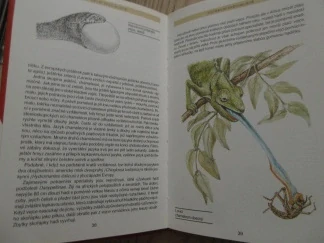 PLAZI A OBOJŽIVELNÍCI, J. ČIHAŘ, A. ČEPICKÁ, **an