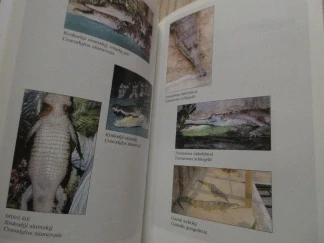 KROKODÝLOVÉ - PŘEŽÍVAJÍCÍ SOUČASNÍCI DINOSAURŮ, JAROSLAV ZELINKA, PETR VOŽENÍLEK, **an