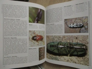 SVĚT HMYZU, RICK IMES,**an