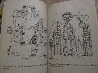 ZATRACENÁ SLEPICE, IVAN KŘEMEČEK, **an