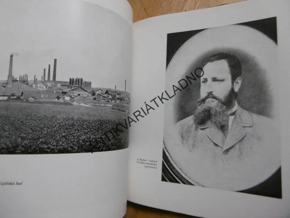 NEŽ VYROSTLY HALDY, JAROSLAV ŘACH, HORNICTVÍ, KLADNO