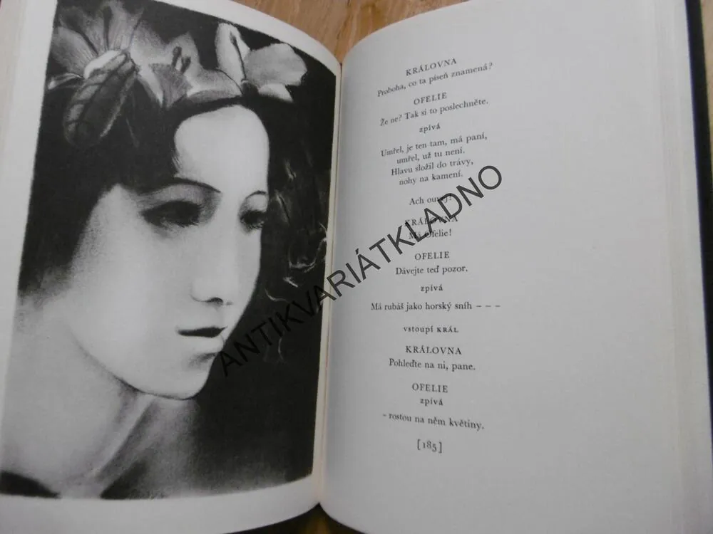 HAMLET, PRINC DÁNSKÝ, WILLIAM SHAKESPEARE
